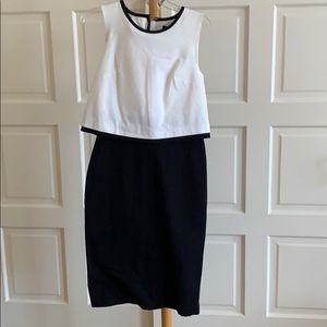 banana republic petite sloane dress